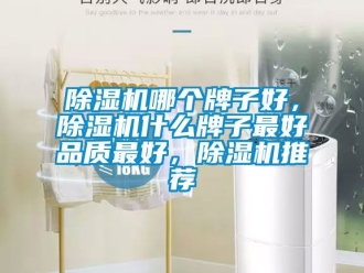行業(yè)新聞除濕機哪個牌子好，除濕機什么牌子最好品質(zhì)最好，除濕機推薦