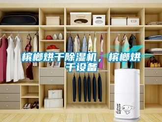 企業(yè)新聞檳榔烘干除濕機，檳榔烘干設(shè)備