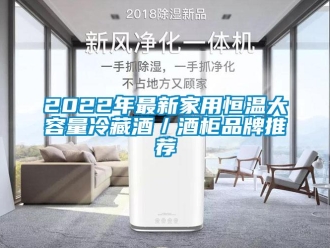 常見問題2022年最新家用恒溫大容量冷藏酒／酒柜品牌推薦