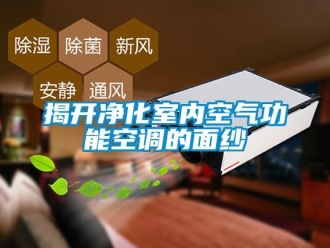 行業(yè)新聞揭開凈化室內(nèi)空氣功能空調(diào)的面紗