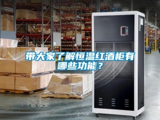 知識百科帶大家了解恒溫紅酒柜有哪些功能？
