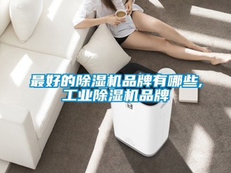 常見問題最好的除濕機品牌有哪些,工業(yè)除濕機品牌
