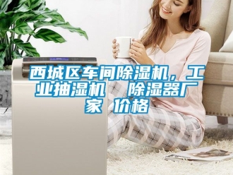 企業(yè)新聞西城區(qū)車間除濕機，工業(yè)抽濕機  除濕器廠家 價格