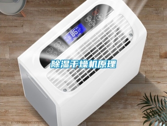 企業新聞除濕干燥機原理