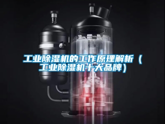 常見問題工業除濕機的工作原理解析（工業除濕機十大品牌）