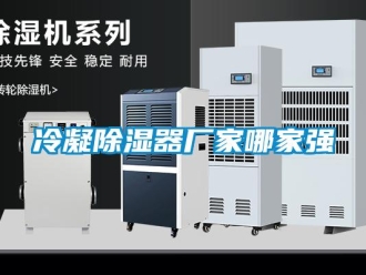 行業(yè)新聞冷凝除濕器廠家哪家強(qiáng)
