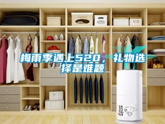 行業(yè)新聞梅雨季遇上520，禮物選擇是難題