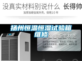 知識百科揚(yáng)州恒溫恒濕試驗箱維修