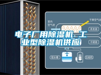 常見問題電子廠用除濕機 工業型除濕機供應
