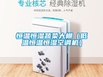 知識百科恒溫恒濕蔬菜大棚（低溫恒溫恒濕空調(diào)機）