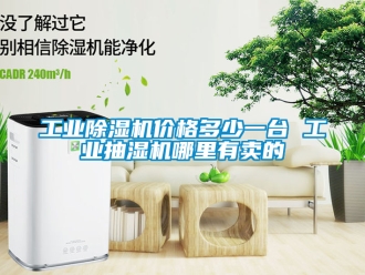 常見問題工業除濕機價格多少一臺 工業抽濕機哪里有賣的
