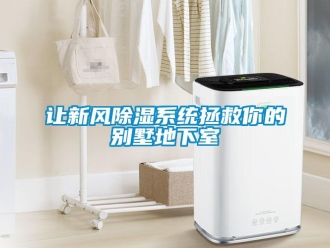 行業新聞讓新風除濕系統拯救你的別墅地下室