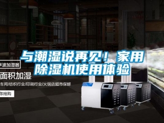 常見問題與潮濕說再見！家用除濕機使用體驗