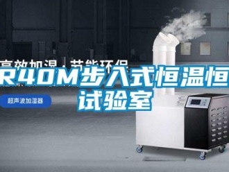 常見問題BR40M步入式恒溫恒濕試驗室