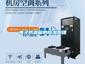 常見問題電子防潮箱的除濕原理