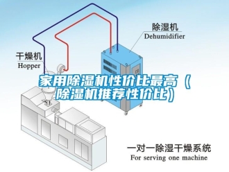 常見問題家用除濕機性價比最高（除濕機推薦性價比）