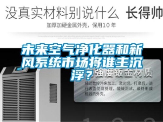 知識百科未來空氣凈化器和新風(fēng)系統(tǒng)市場將誰主沉浮？