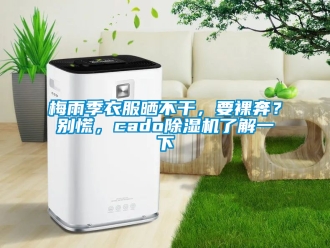 行業新聞梅雨季衣服曬不干，要裸奔？別慌，cado除濕機了解一下