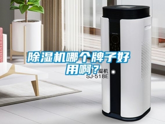 行業新聞除濕機哪個牌子好 用啊？