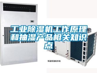 企業新聞工業除濕機工作原理和抽濕產品相關知識點