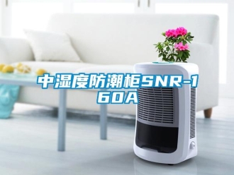 常見(jiàn)問(wèn)題中濕度防潮柜SNR-160A
