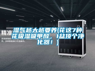 企業(yè)新聞濕氣越大越要養(yǎng)(花這7種花吸濕吸甲醛，1盆頂個(gè)凈化器！)