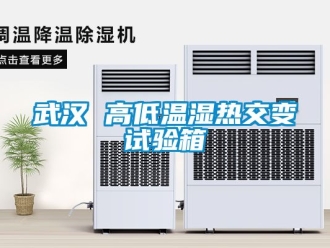 常見問題武漢 高低溫濕熱交變試驗箱