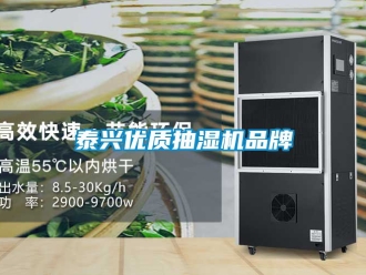 企業(yè)新聞泰興優(yōu)質(zhì)抽濕機(jī)品牌