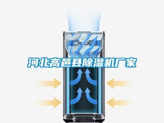 企業(yè)新聞河北高邑縣除濕機(jī)廠家