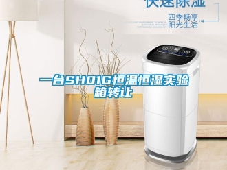 知識百科一臺SH01G恒溫恒濕實(shí)驗(yàn)箱轉(zhuǎn)讓