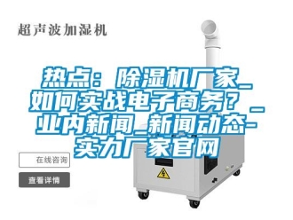 常見問題熱點：除濕機廠家_如何實戰電子商務？_業內新聞_新聞動態-實力廠家官網