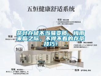 企業新聞茶葉存儲不當易變質，梅雨來臨之際，不得不看的存茶技巧！