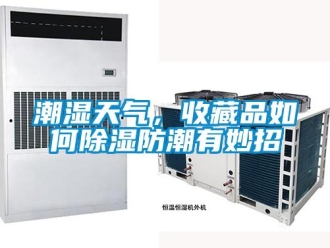 常見問題潮濕天氣，收藏品如何除濕防潮有妙招