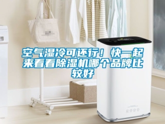 企業新聞空氣濕冷可還行！快一起來看看除濕機哪個品牌比較好