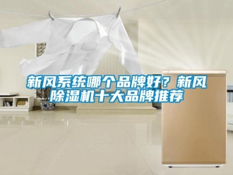 常見問題新風(fēng)系統(tǒng)哪個品牌好？新風(fēng)除濕機十大品牌推薦