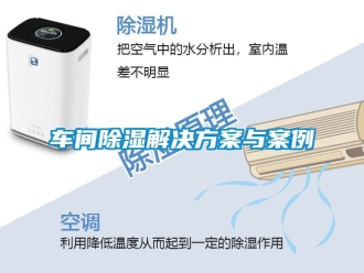 企業(yè)新聞車間除濕解決方案與案例