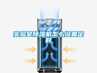 行業(yè)新聞實(shí)驗(yàn)室除濕機(jī)怎么設(shè)置定時(shí)