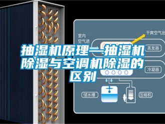 企業新聞抽濕機原理—抽濕機除濕與空調機除濕的區別