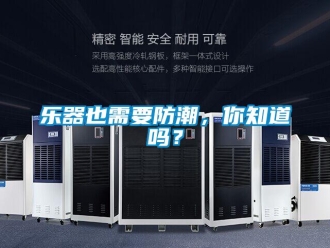 常見問題樂器也需要防潮，你知道嗎？