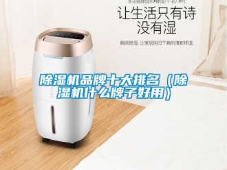 企業新聞除濕機品牌十大排名（除濕機什么牌子好用）