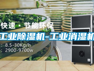 常見問題工業(yè)除濕機-工業(yè)消濕機