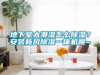 常見問題地下室太潮濕怎么除濕？安裝新風除濕一體機唄~