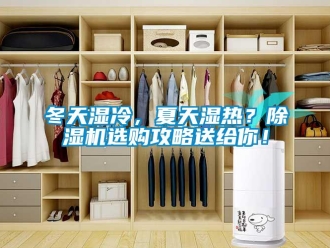 行業新聞冬天濕冷，夏天濕熱？除濕機選購攻略送給你！