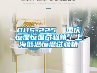 常見問題DHS-225  重慶恒濕恒溫試驗箱／上海低溫恒溫試驗箱
