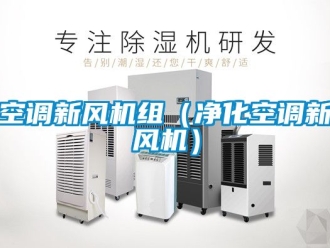 企業(yè)新聞空調(diào)新風機組（凈化空調(diào)新風機）