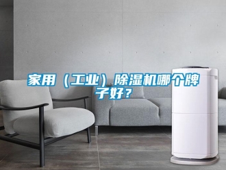常見問題家用（工業）除濕機哪個牌子好？