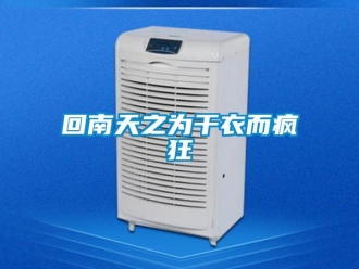 行業(yè)新聞回南天之為干衣而瘋狂