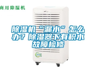 企業新聞除濕機“漏水”怎么辦？除濕器下有積水故障檢修