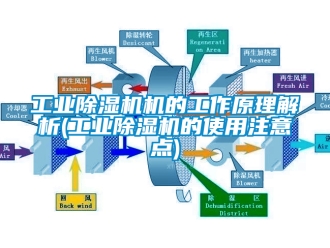 常見問題工業(yè)除濕機(jī)機(jī)的工作原理解析(工業(yè)除濕機(jī)的使用注意點)
