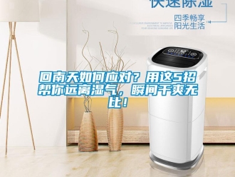 常見問題回南天如何應對？用這5招幫你遠離濕氣，瞬間干爽無比！